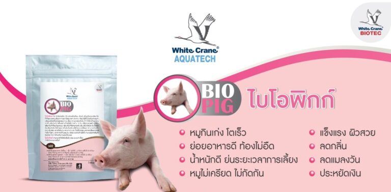 Biopig ไบโอพิกก์ จุลินทรีย์โโพรไบโอติก