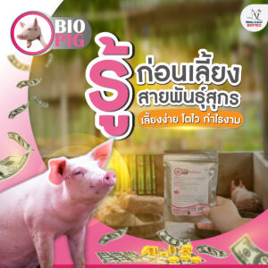 สายพันธุ์สุกรยอดฮิตในไทย